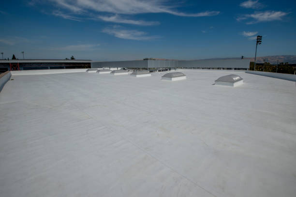 Best Skylight Installation and Repair  in Batavia, OH